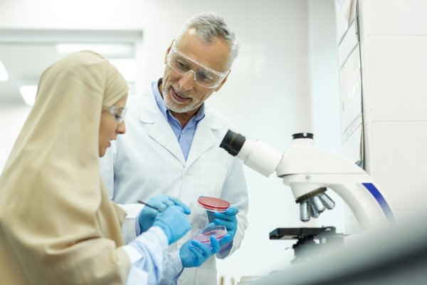 Landing your dream job: a career in consulting